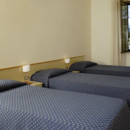 Hotel Domus Pacis 3*