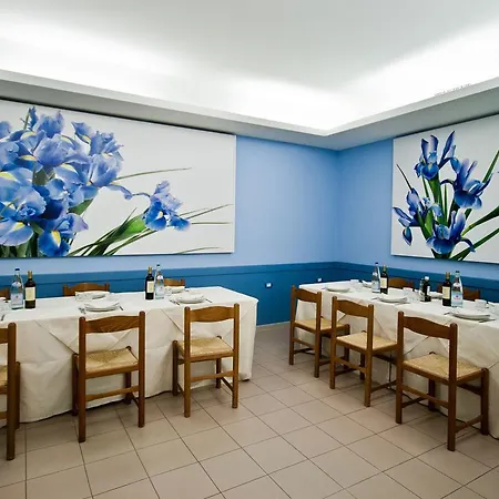 Domus Pacis Hotel 3*